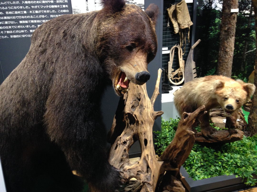 Yubetsucho Folk Museum-涌别町必去景点