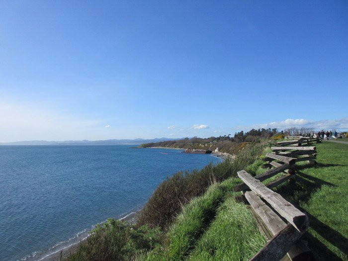 Dallas Road Beach-维多利亚必去景点