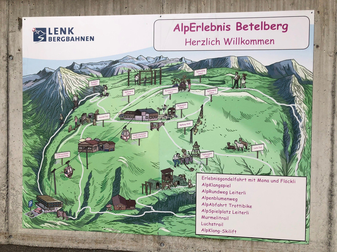 Bergbahnen Lenk景点图片