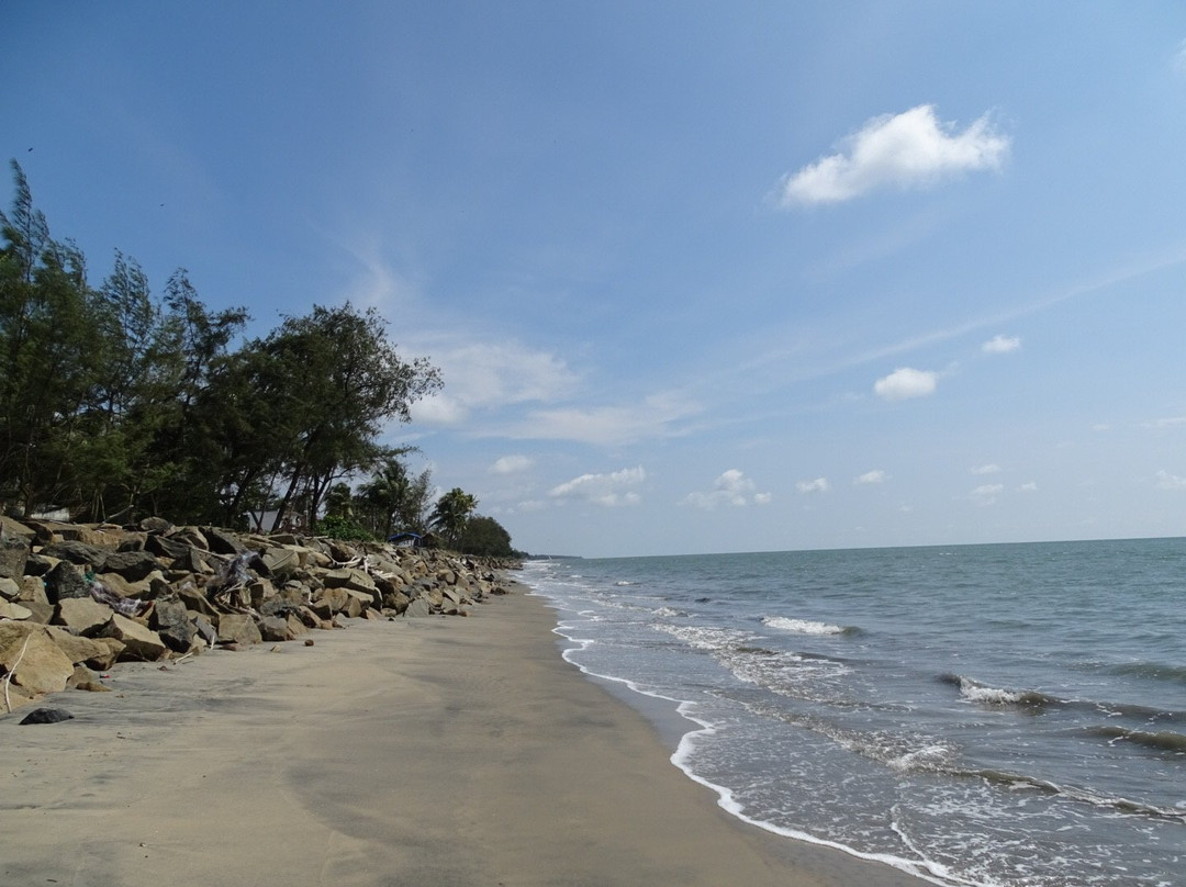 Les 3 Elephants Cherai Beach主图