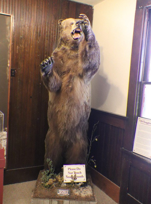Museum of the Yellowstone景点图片