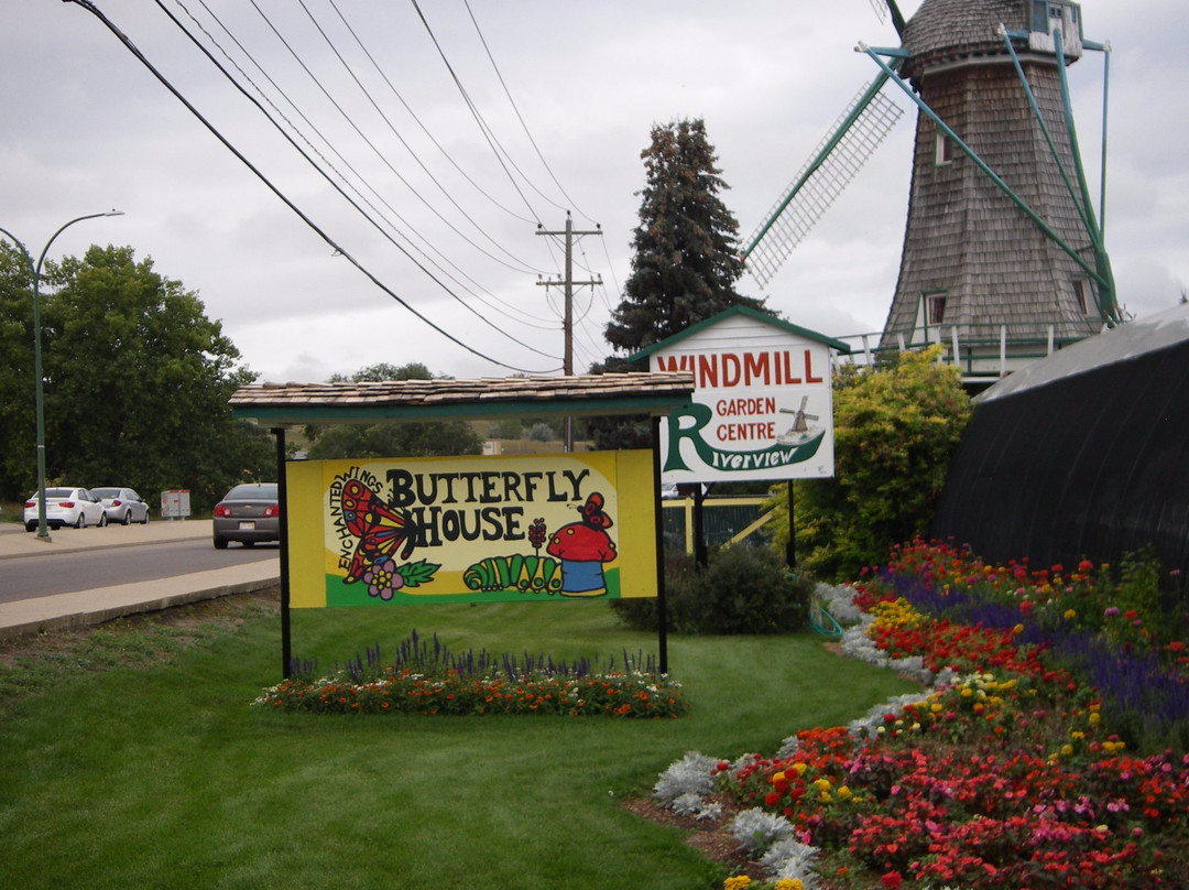 Windmill Garden Centre and Butterfly House景点图片
