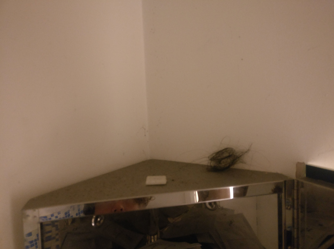 Guest House Ellipse主图