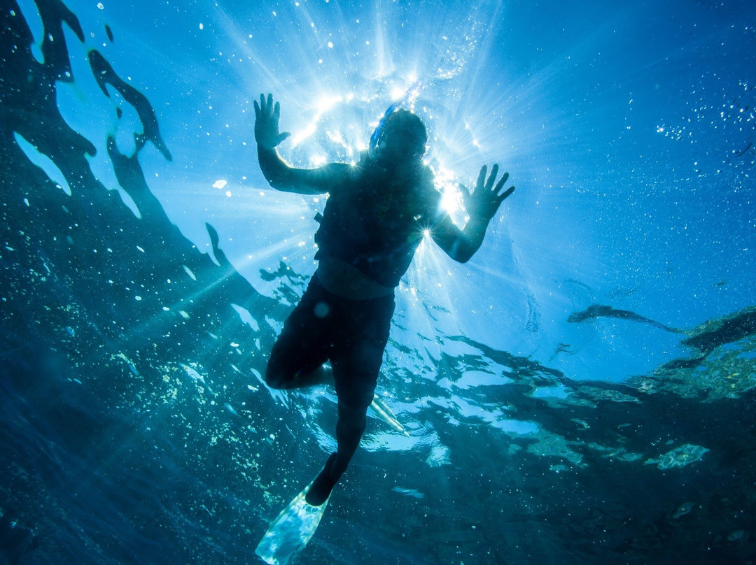 Cabo Pulmo Eco Adventures-Cabo Pulmo必去景点