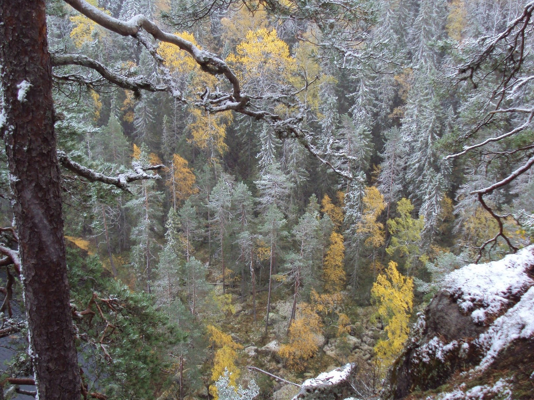 Southern Konnevesi National park-Rautalampi必去景点