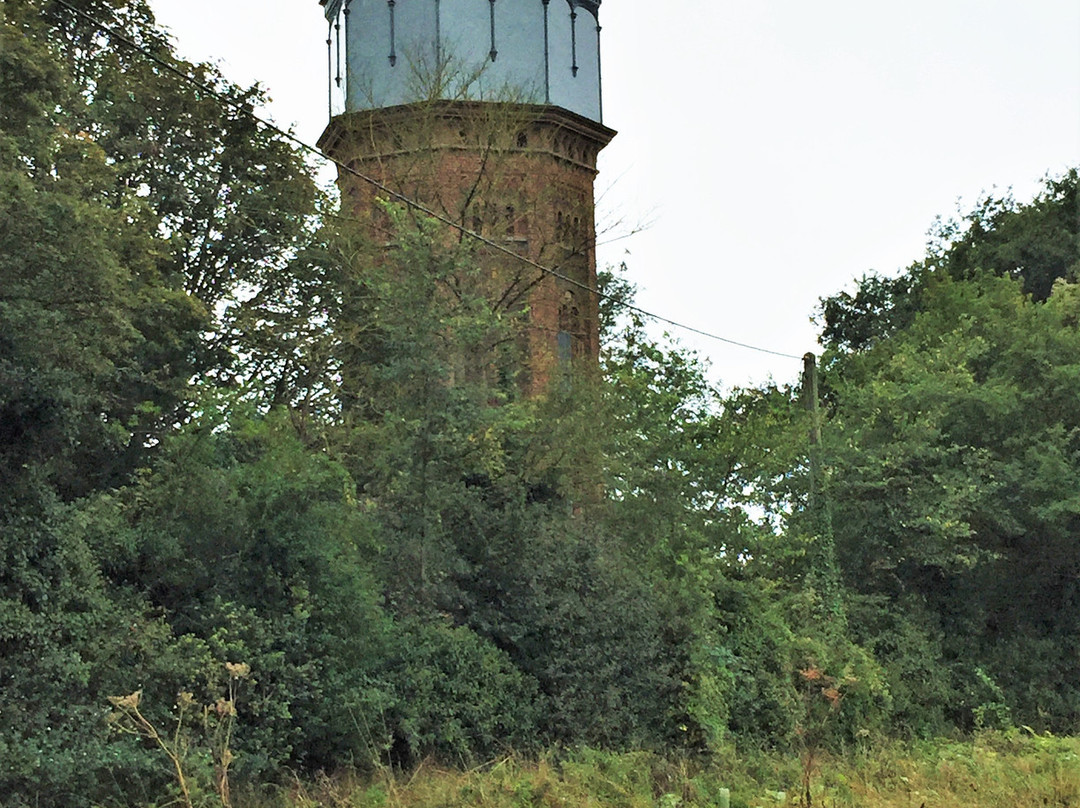 Appleton Water Tower景点图片
