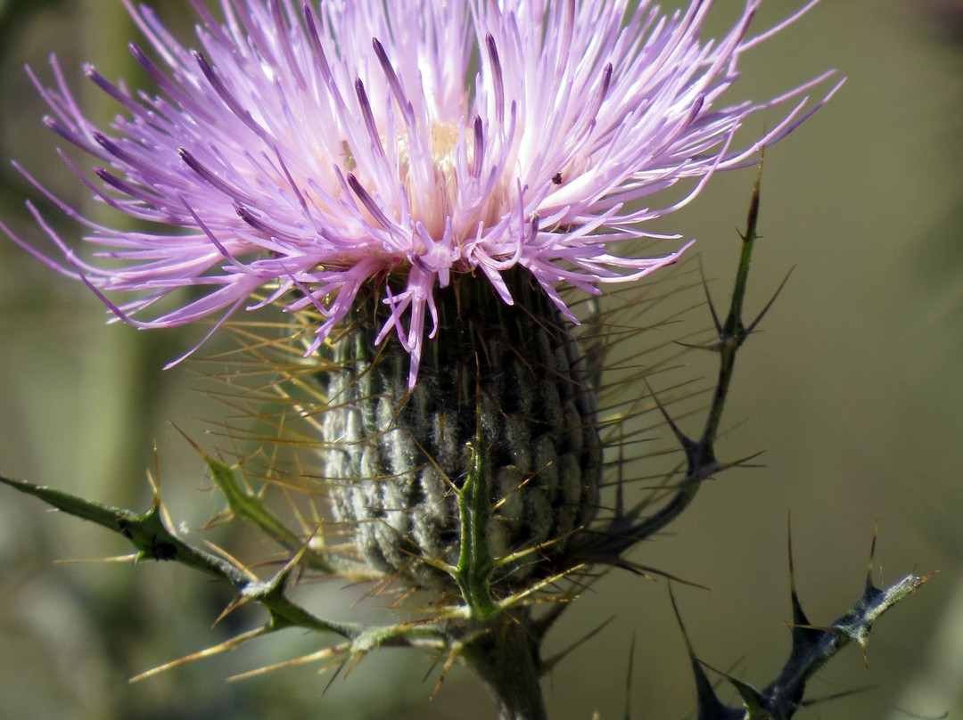 Natirar Park-Peapack-Gladstone必去景点