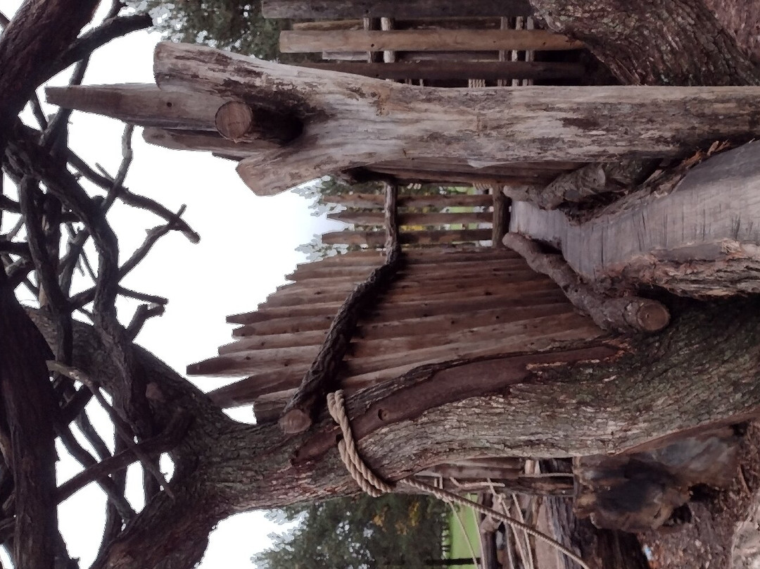Alpine Adventure Zone Natural Playground景点图片