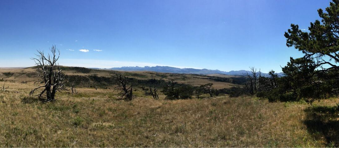 Valier旅游景点-DeBoo Ranch Adventures