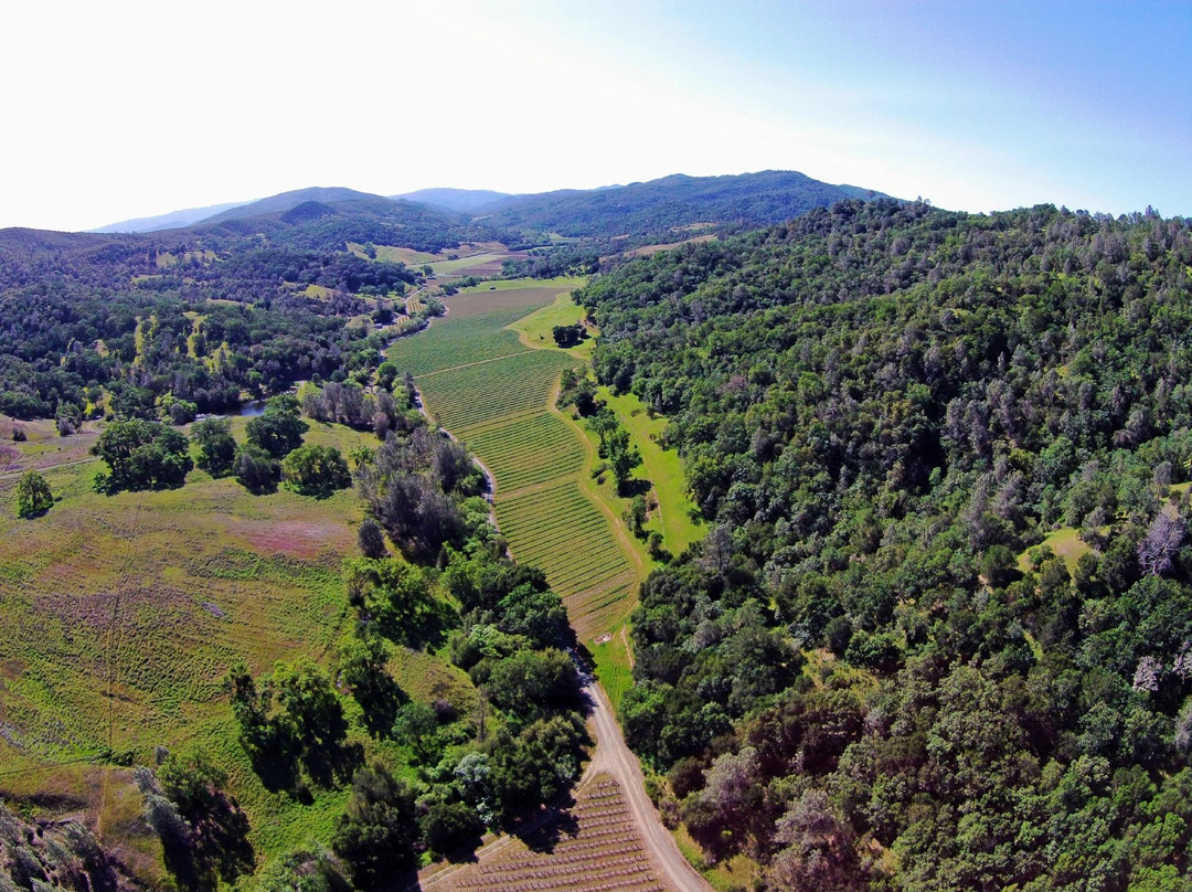 Brooks旅游景点-Somerston Estate