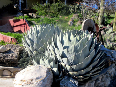 Jardine Ranch's Country Nut House