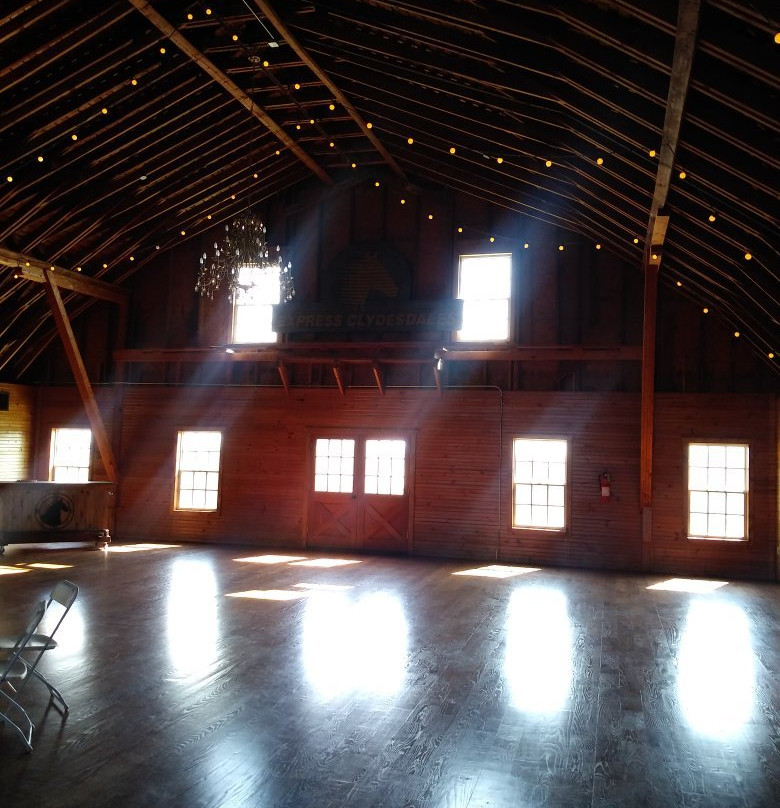 Express Clydesdales-育空必去景点