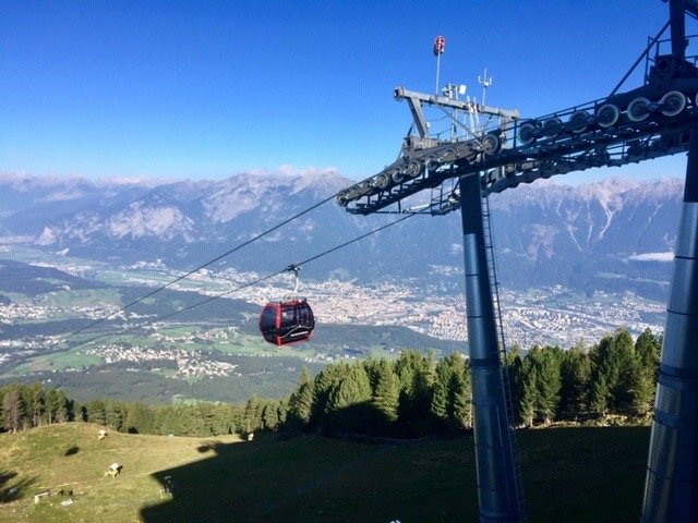 Alpengarten Patscherkofel景点图片