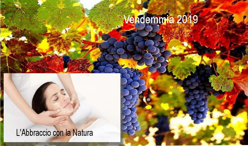 Pigazzano旅游攻略图片