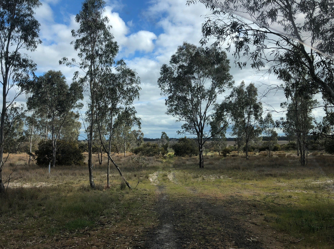 Lake Booroopki-Minimay必去景点
