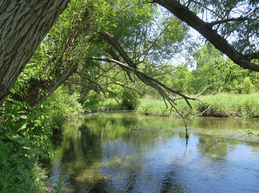 Millbrook Marsh Nature Center景点图片