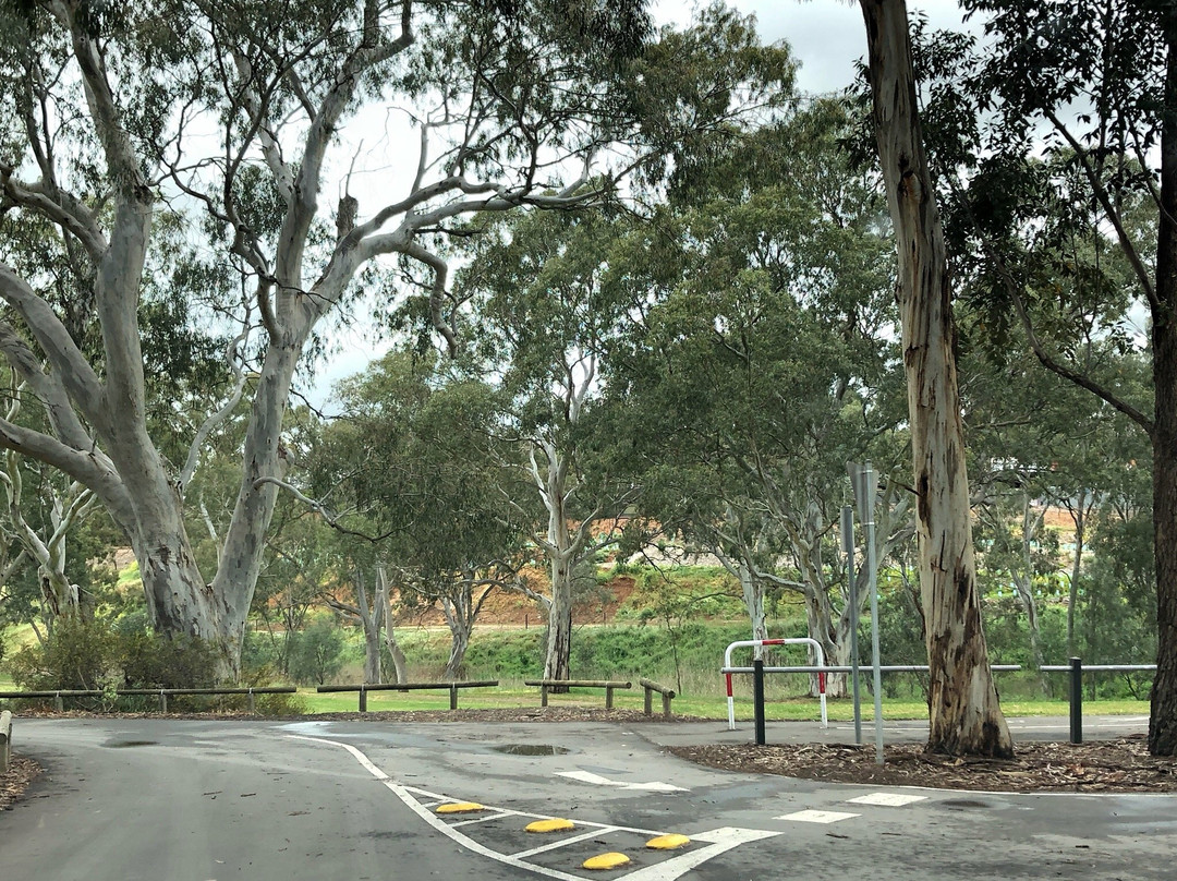 Gawler Skate Park景点图片