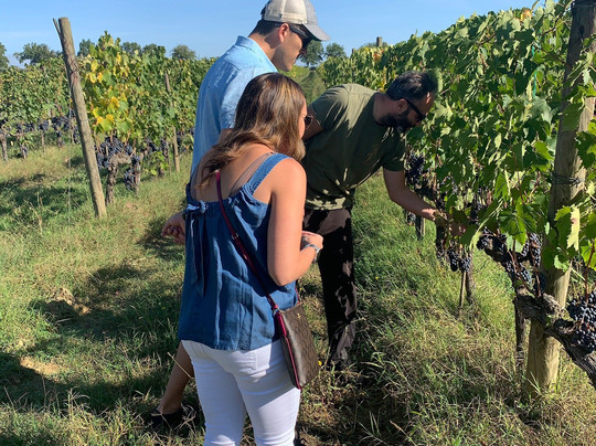 Select Tasting-蒙塔尔奇诺必去景点