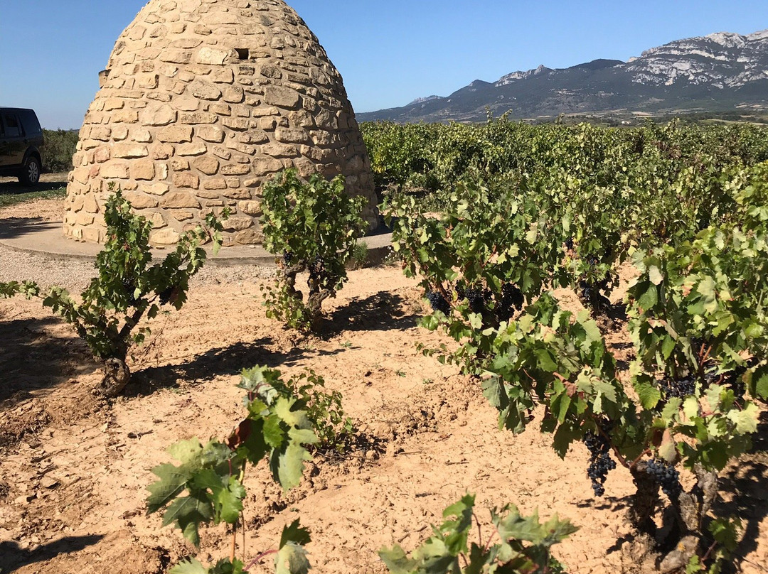 Casa Rural La Molinera Etxea主图