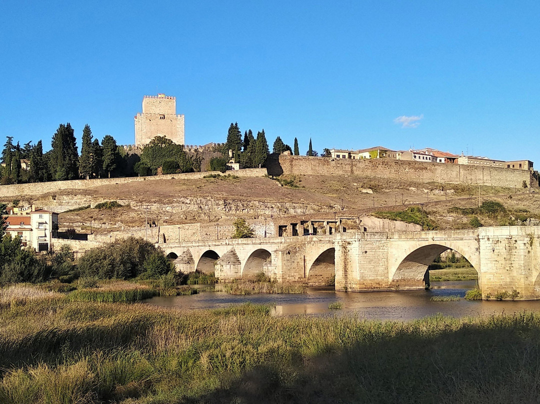 Puente romano景点图片