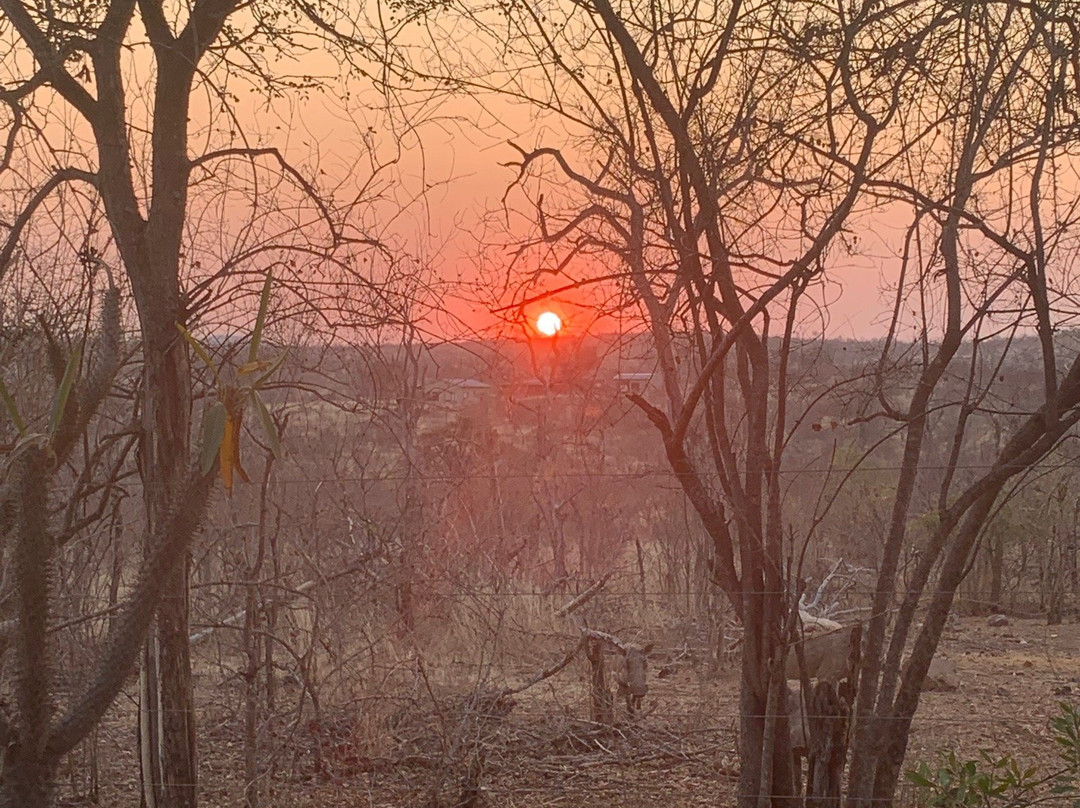 Mutsami Private Bush Lodge主图