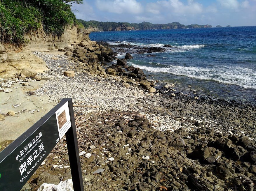 Miyukinohama Beach-小笠原村必去景点