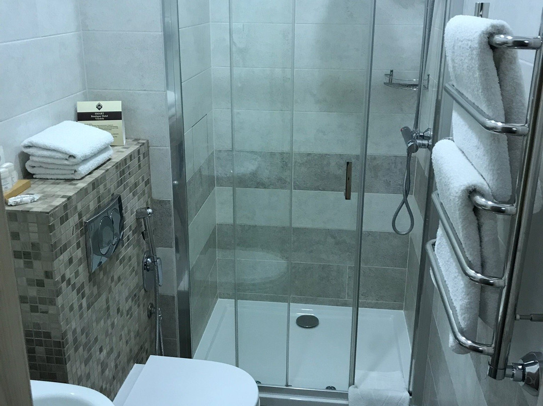 Smart Boutique Hotel Vitebsk主图