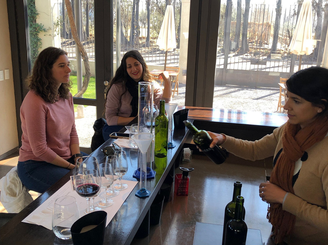 Mendoza Wine Camp-门多萨必去景点