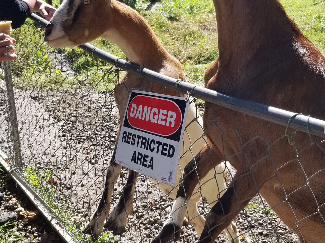 Birchcliff Resort主图