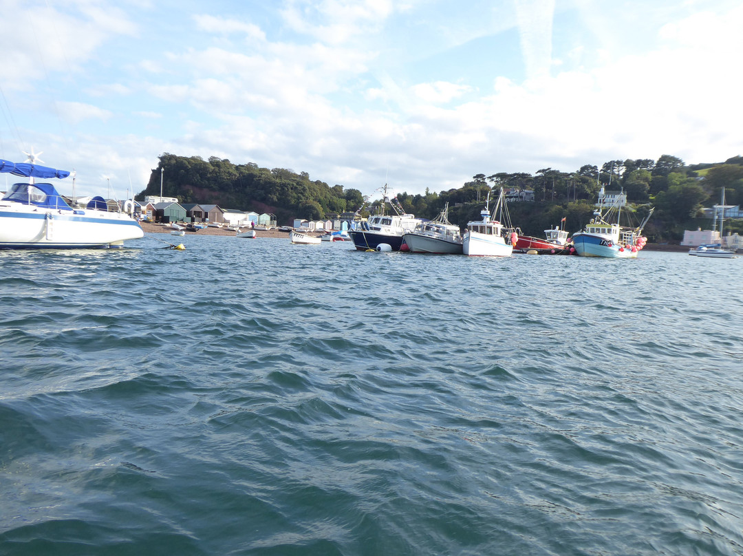 Teignmouth - Shaldon Ferry景点图片