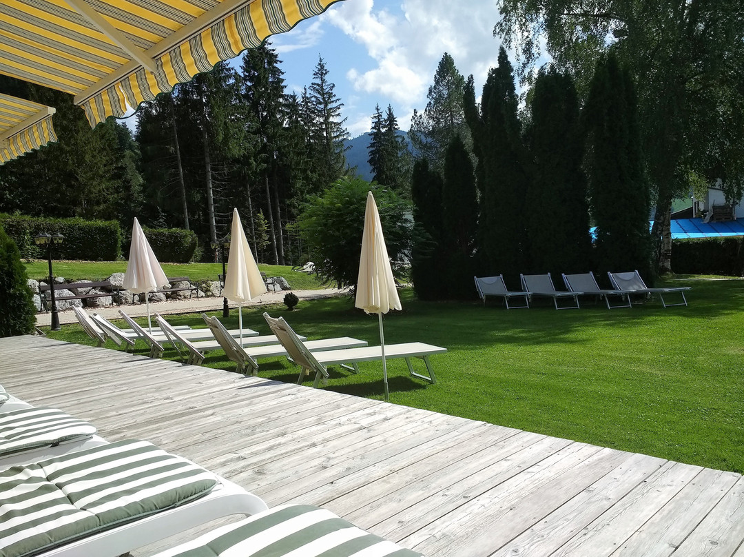 Garni Hotel Das Alpin主图