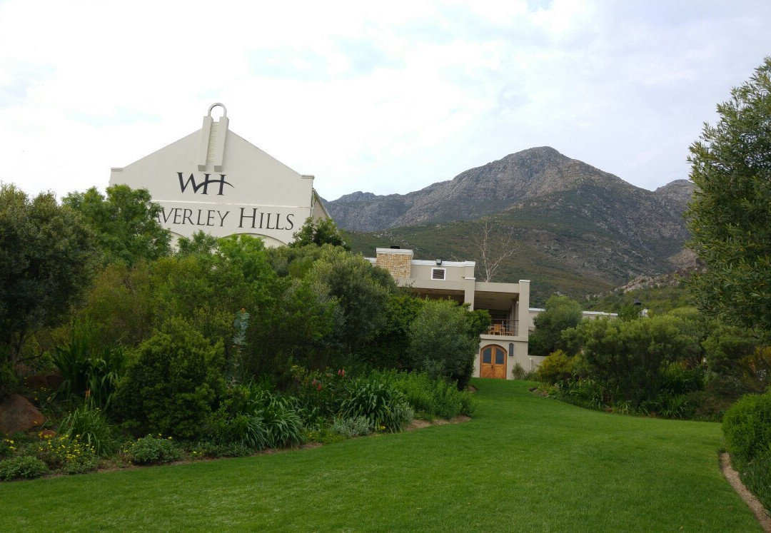 Waverley Hills Organic Wine and Olives景点图片
