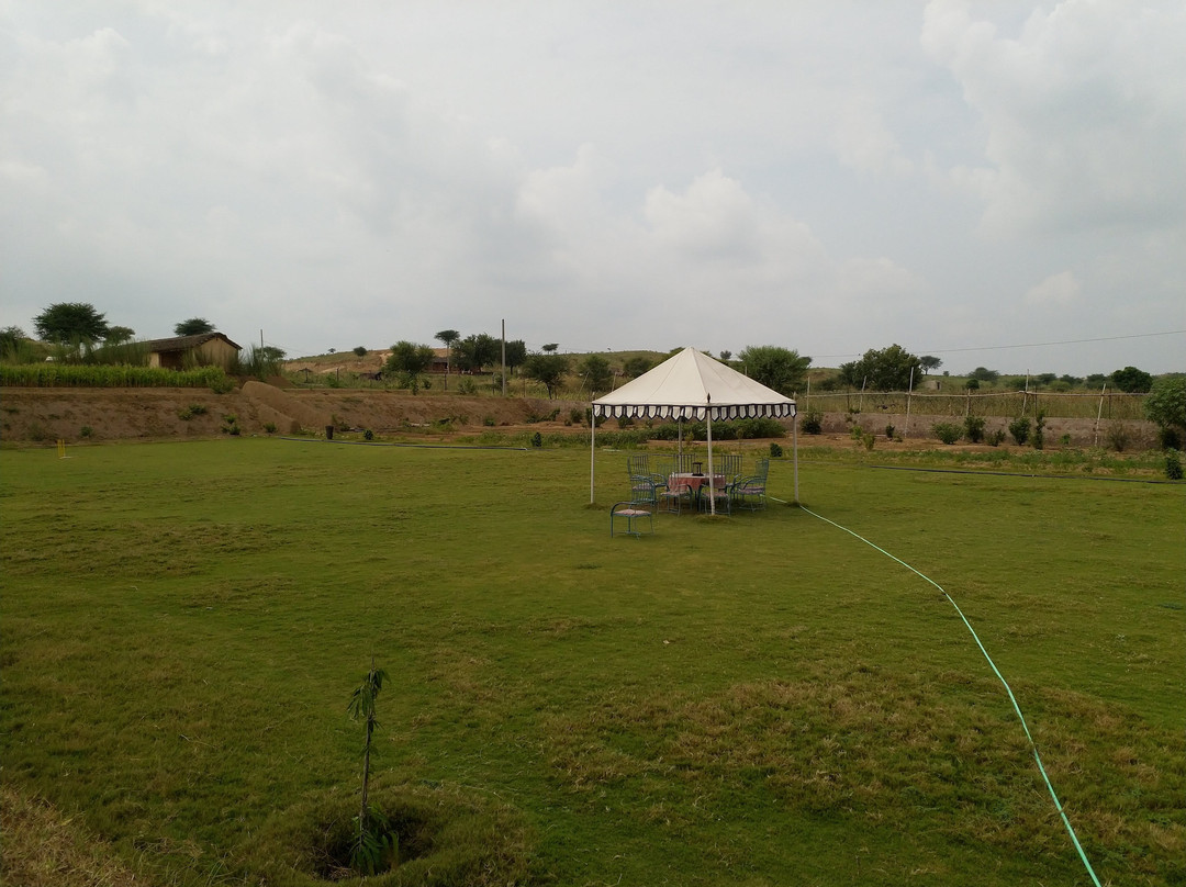 The Sariska Retreat主图