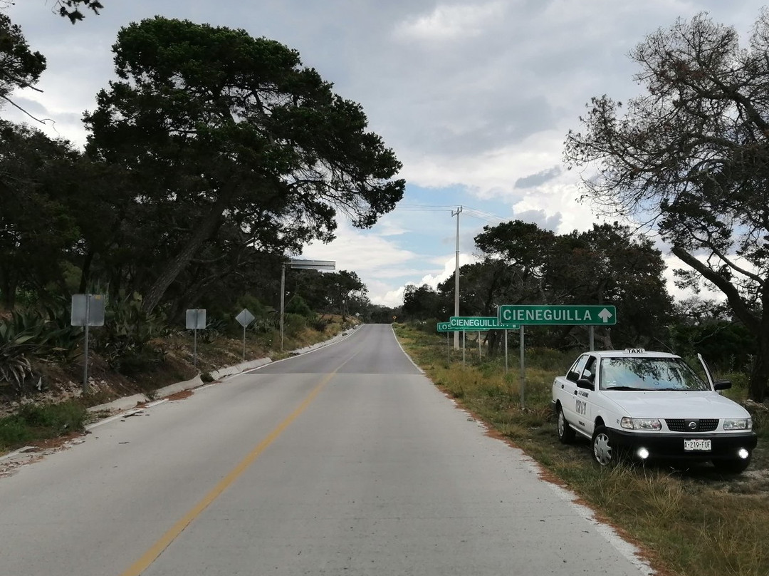 Cardonal旅游攻略图片