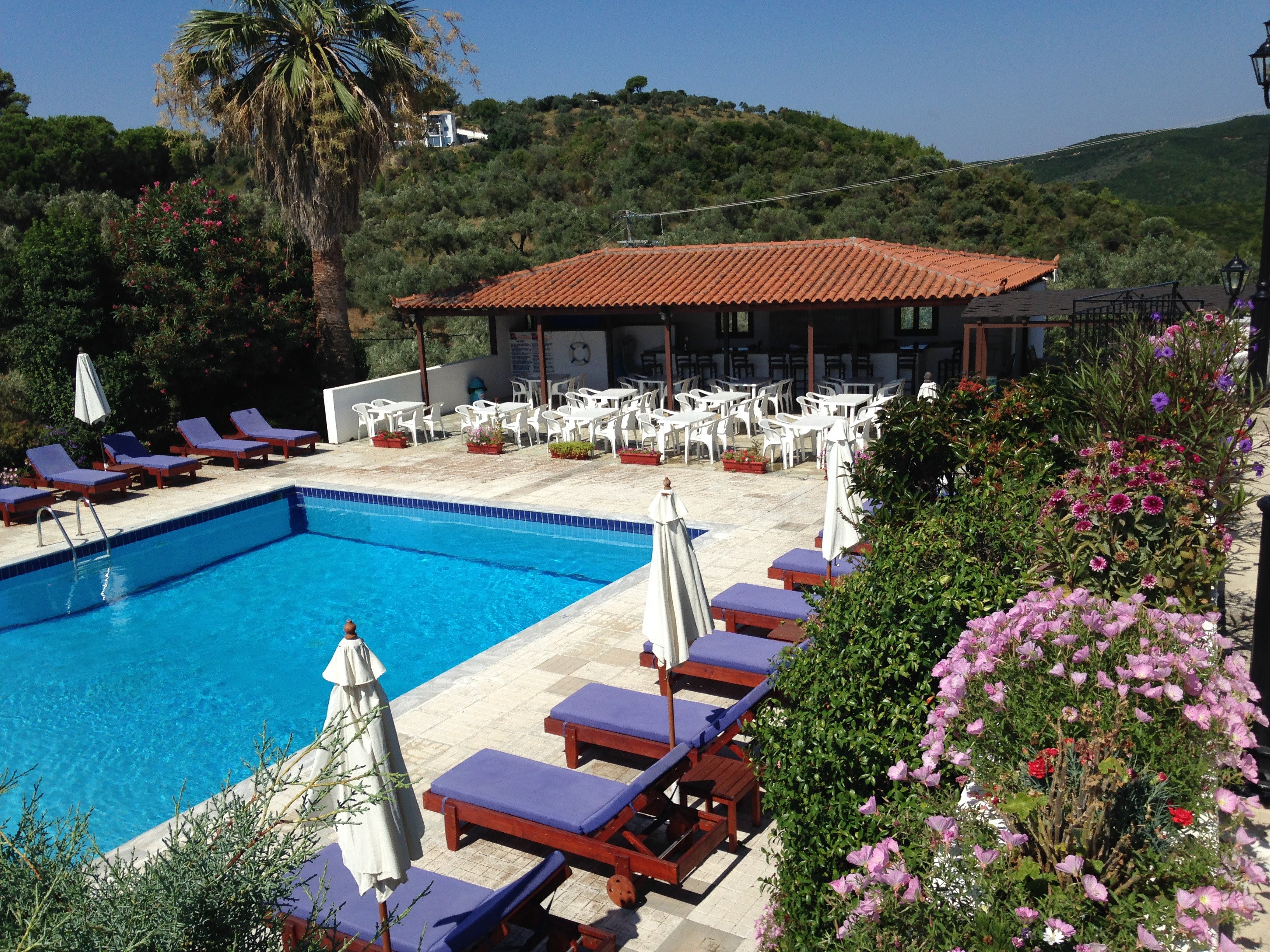 Paradise Hotel-泳池