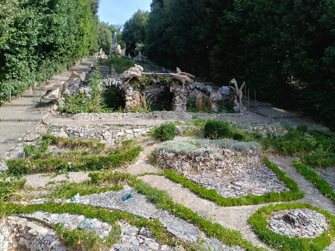 Storico Giardino Garzoni -  Casa delle Farfalle景点图片