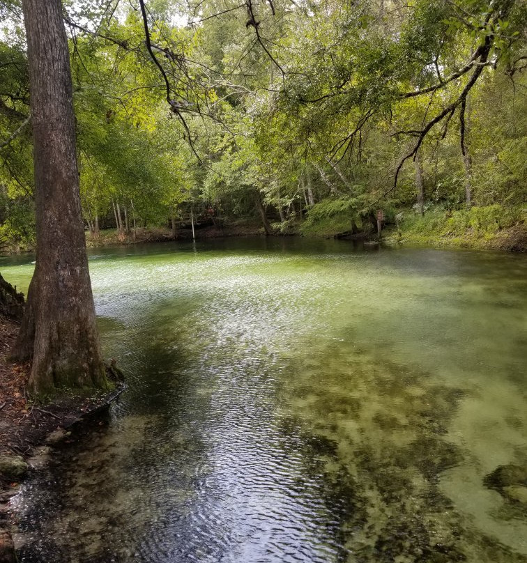 Poe Springs Park景点图片