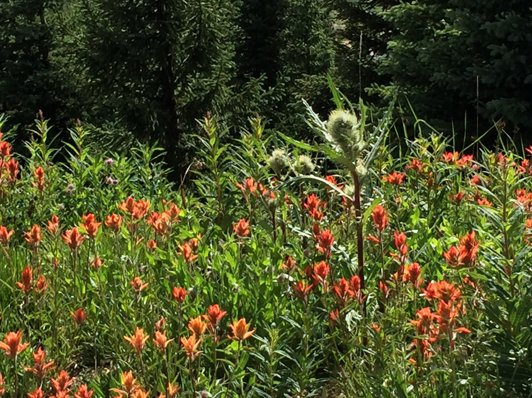 Hagerman Pass-Leadville必去景点