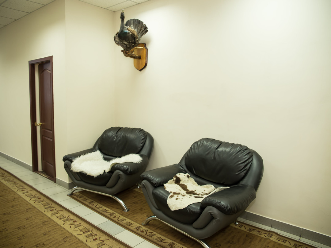 Gostinitsa Yevropa主图