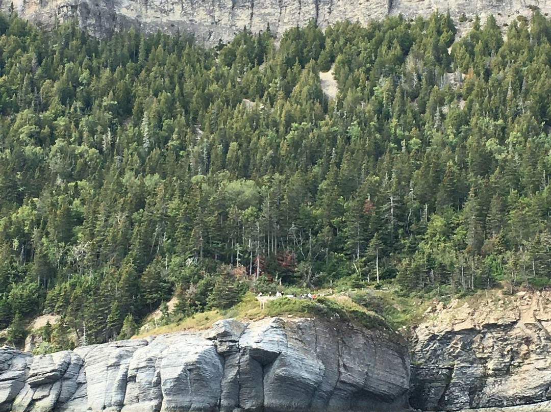 Forillon National Park景点图片
