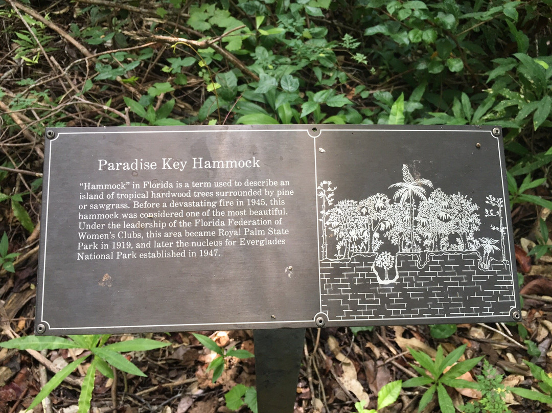 Gumbo Limbo Trail-大沼泽国家公园必去景点