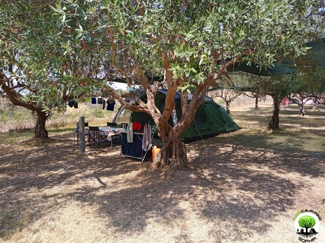 Agri Camping Sophia