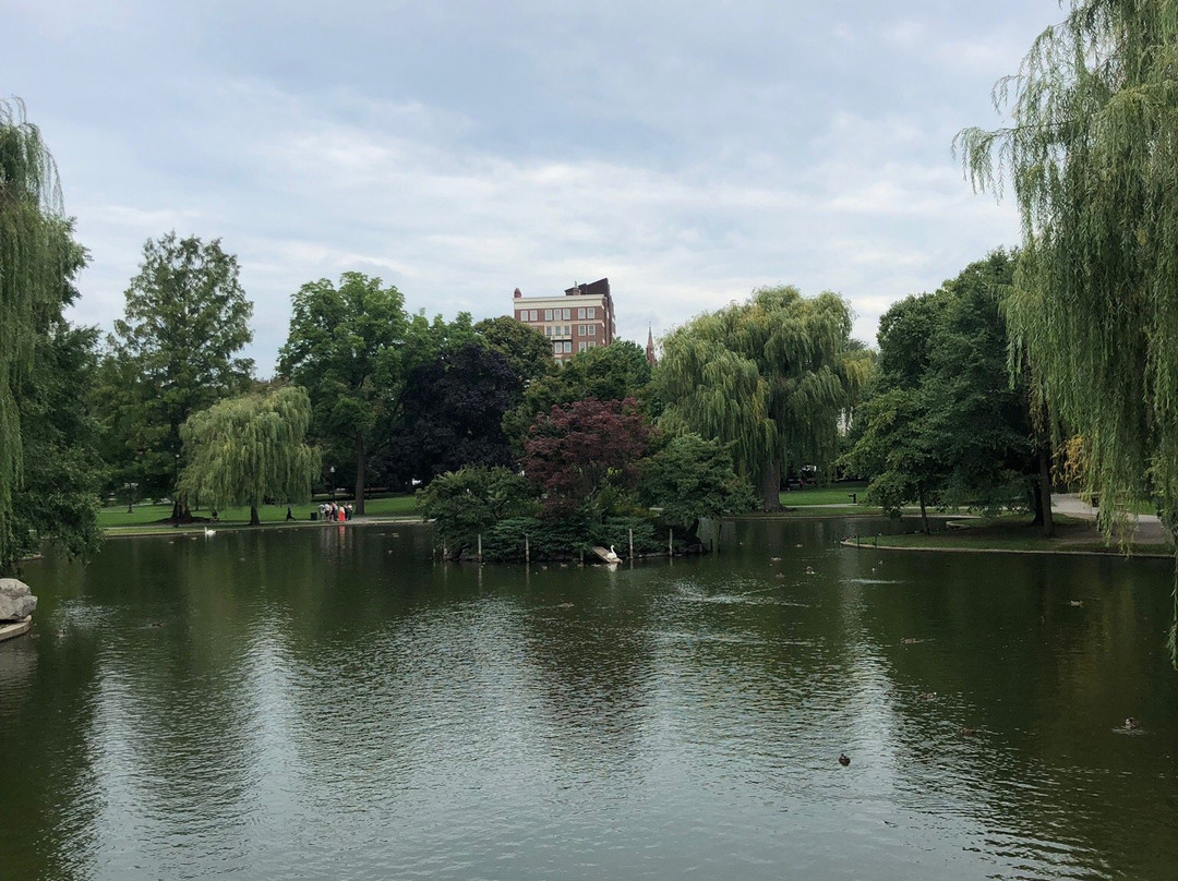 波士顿公共花园景点图片