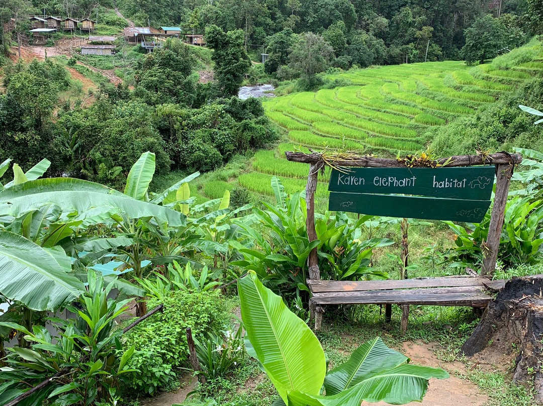 Karen Elephant Habitat-Mae Win必去景点