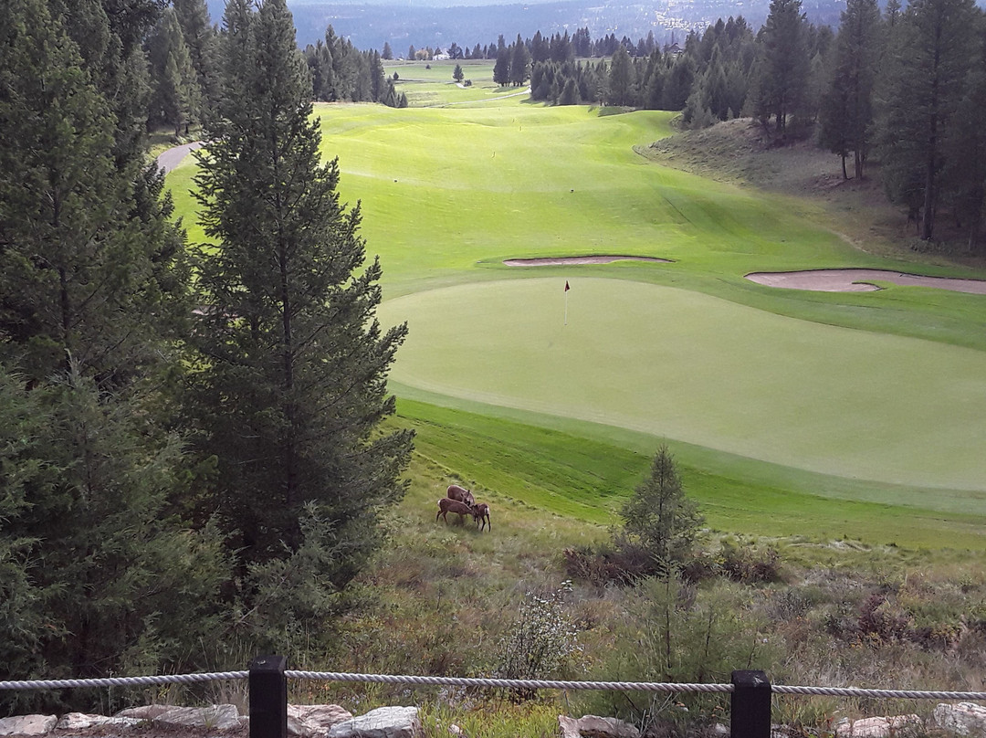 Copper Point Golf Club景点图片
