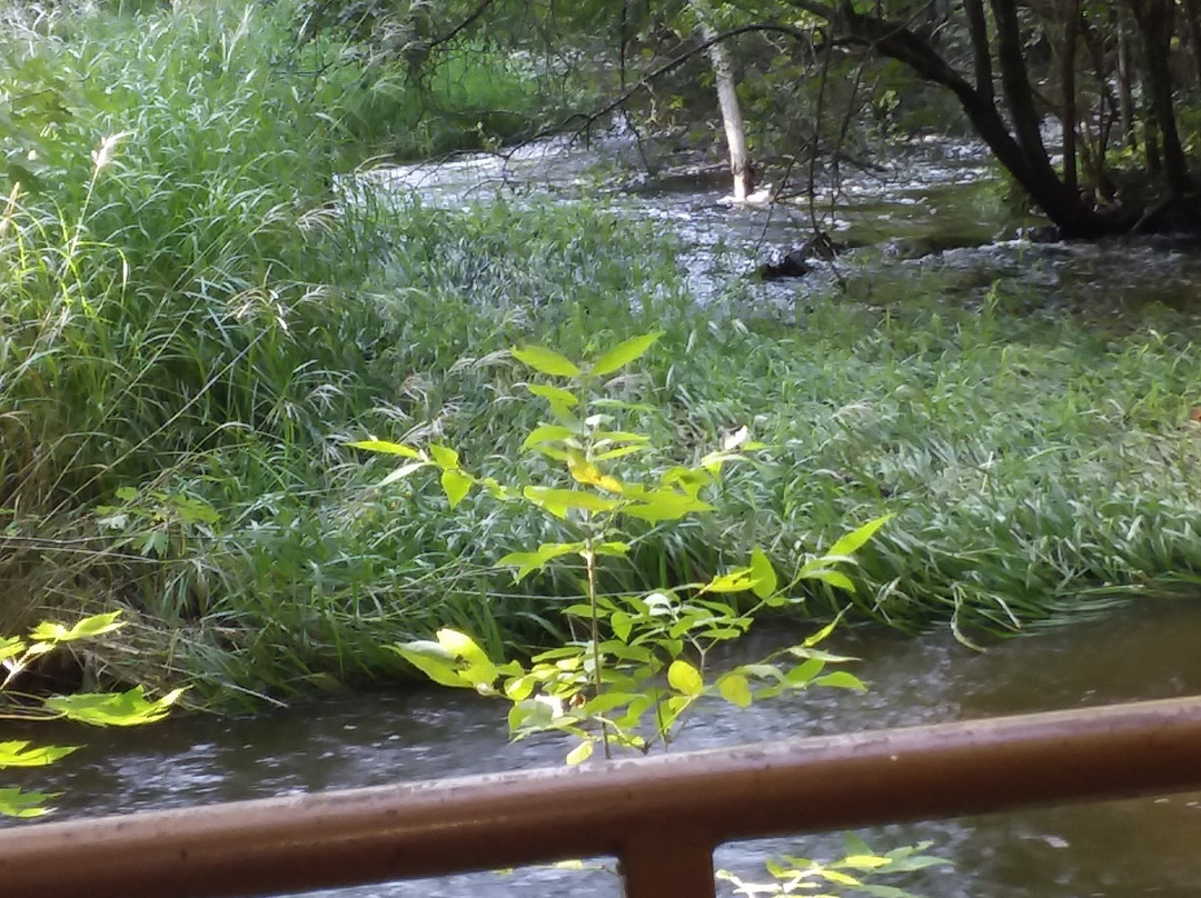 Moir Park-布卢明顿必去景点