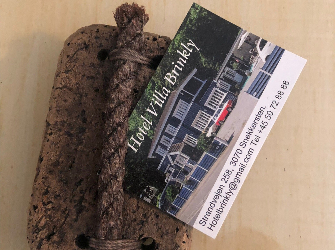 Hotel Villa Brinkly主图