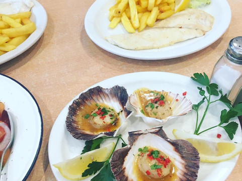 Melbourne Unique Tours-墨尔本必去景点