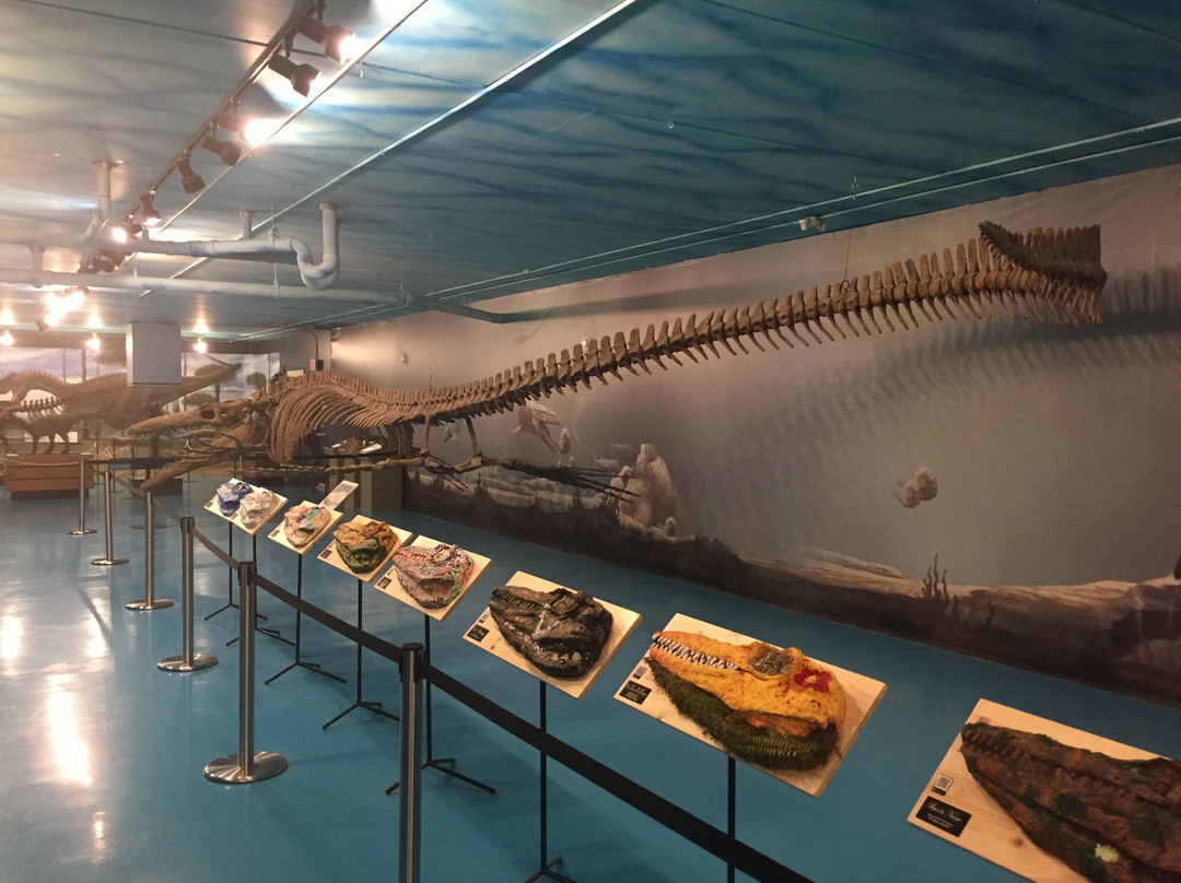 Canadian Fossil Discovery Centre-Morden必去景点