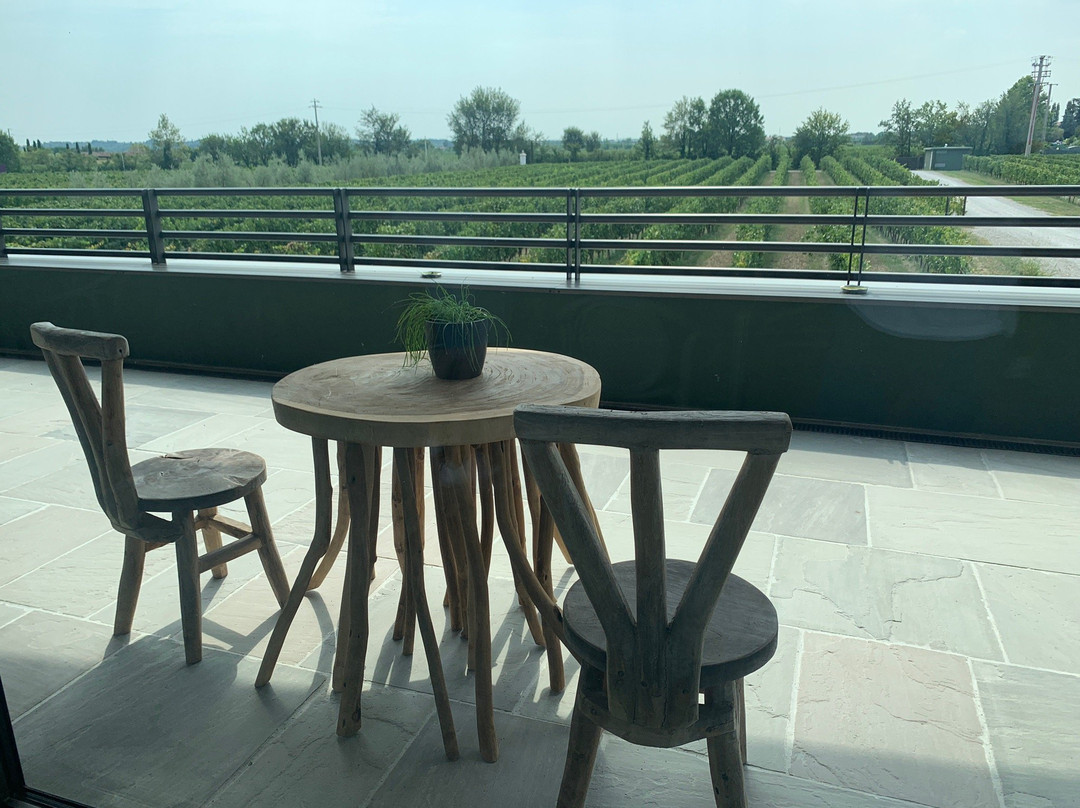 Lugana Wine Tours-代森扎诺-德尔加达必去景点